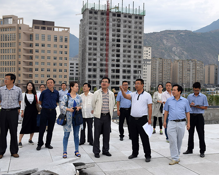 省、市聯(lián)合工作組蒞臨階州廣場檢查指導(dǎo)工作